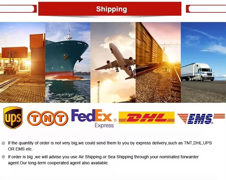 Shipping Shipping